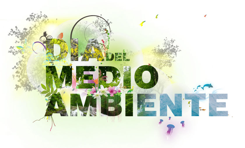 dia-medio-ambiente